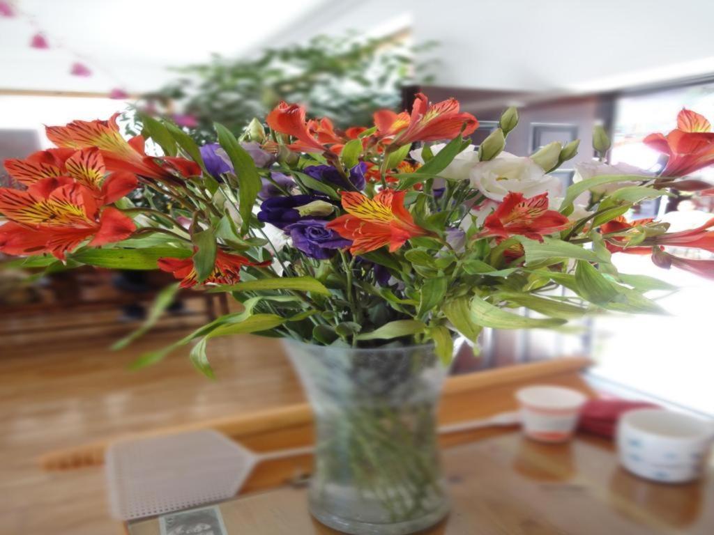 Dali Four Season Flower Inn Dali (Yunnan) Luaran gambar